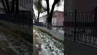 11 школа. 7А класс. Тренер: Москаленко Маргарита