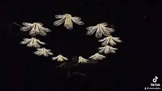 #dancewithlights 🌸🌸🌸How romantic it is on kinetic led flower lights show? #kineticflower #xlighting