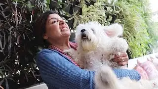 India's Most Misbehaved Dog | Ep 2 | Cherry's day out | Ss vlogs :-)