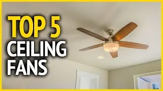 Best Ceiling Fans 2023 | Top 5 Best Ceiling Fans for Every Home