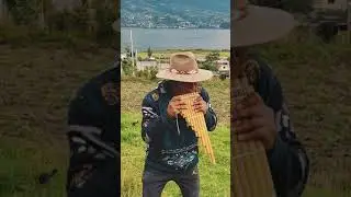 Amigos - Zampo&ntilde;a 🔥
