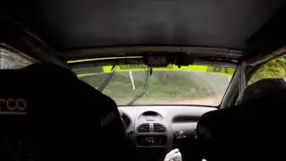 Crash Rallye Terre du Diois 2016, Jean-Sébastien Oudot - Mélodie Artzner, Peugeot 206 A6k