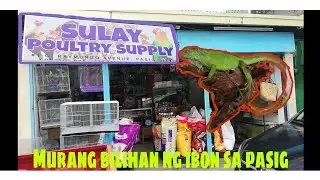 PETSHOP NI SULAY ANG MURA NG MGA IBON #kapetshop.TV #africanlovebird #ibon