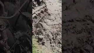 PTO drive rotary disc plough