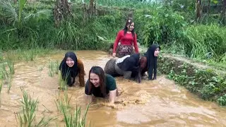WOOW SERU BANGET‼️BERBURU IKAN DI SAWAH BARENG GADIS DAN JANDA DESA DI SAAT HUJAN TURUN