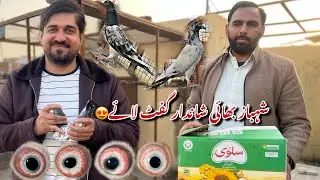 Shehbaz bhai shandar gift ly kar aye 😍