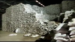 Manufacturers & Suppliers I R 64 rice