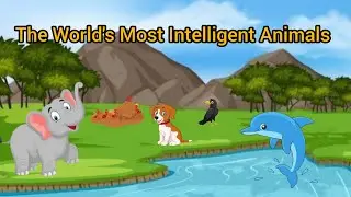 The World's Most Intelligent Animals/ Urdu story for kids/ Kids stories for Moral