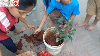 Plantation by Gurukulam 360 Degree Learning School Junior Red Cross Unit 