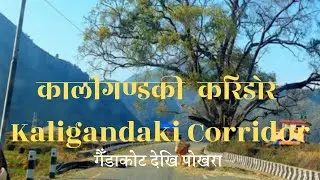 Kaligandaki Corridor Gaindakot to Pokhara . कालीगण्डकी करिडोरको बाटो गौँडाकोट देखि पोखरा सम्म