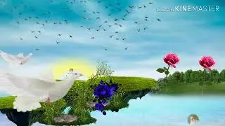 Garden background video.new.2019