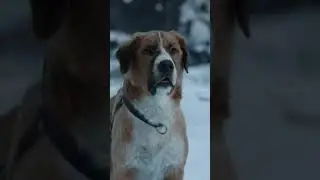 КОД 9 Преданная собака  #фильм