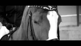 Dressage - Portas of Sweden