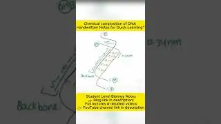Chemical Composition of DNA  | Handwritten Diagram #shorts
