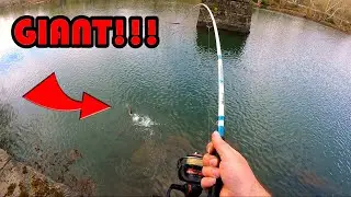 Fishing With A COMPLETE STRANGER | Hooked The BIGGEST FISH OF MY LIFE!!!!