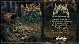 Lust of Decay - Entombed in Sewage [Full-Length] (Brutal Death Metal - 2025)