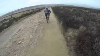 Stanedge
