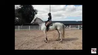 L'Extérieur du Cheval (Partie 1)