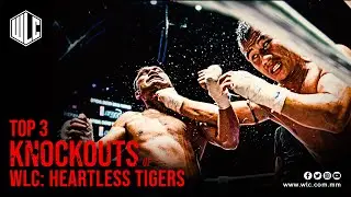 Top 3 Knockouts of WLC: Heartless Tigers | Lethwei | Bareknuckle Fight