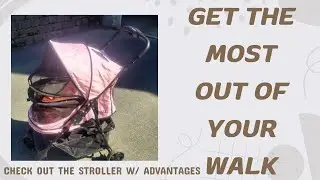 Pet Gear No-Zip Happy Trails Pet Stroller for Cats/Dogs, Zipperless Entry, Ez Fold wRemovable Liner