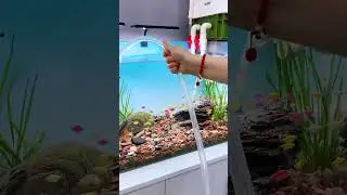 Fish tank cleaning siphon copper joint #trending #fishbowl #aquascape #aquaria #fish #fishaquarium