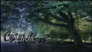ون شوت يونغي [شجرة الأمنيات]