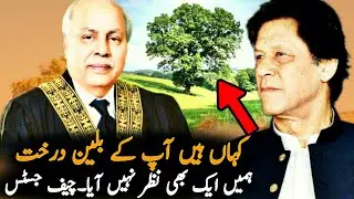 Where Is Your Billion Tree Project,Chief Justice | ImranKhan | Clean Green Pakistan