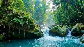 Soundscapes Relaxing Music for Sleeping &ndash; Natural Water Flow for Stress Relief