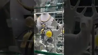 Стильная витрина с украшениями PJ Murano.