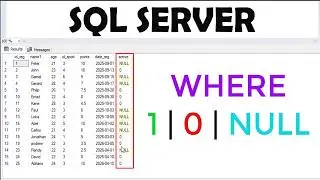 How to Filter TRUE, FALSE, and NULL Values in SQL Server