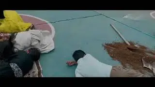 شانوگەری لسەر ئەنفال كرنا هەلەبچە.