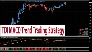 Low Risk High Accuracy Forex & Stocks TDI MACD Trend Trading Strategy and MT4 Indicators