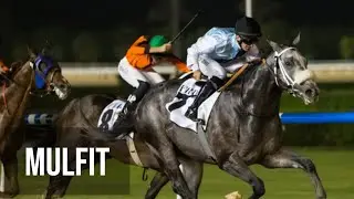 Three races, three winners! MULFIT finishes strong to win the Friday Maiden.