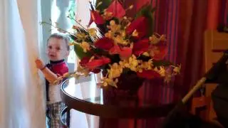 VID00037