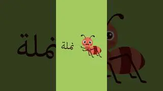 Muslim puppet show 🎭Big lessons, big laughs 😄