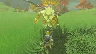 How Strong is A Gold Lynel? - Zelda Breath of the Wild