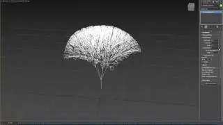 SimpleBranches2
