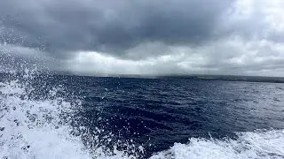 Shark Cage Diving in Maui, Hawaii needs to be on your bucket list  