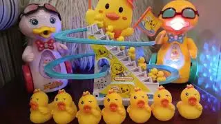 Cute Mini Duckling Toys climbing stairs #viralvideotoys