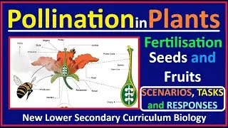 Sexual Reproduction  Plants-2-Meaning of the Term Pollination and how Pollination takes place