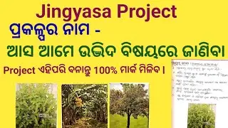 Science Project l Asa Ame Udbhida Bishayare Janiba l Ket Learn About the Plants l 100 Marks% l 