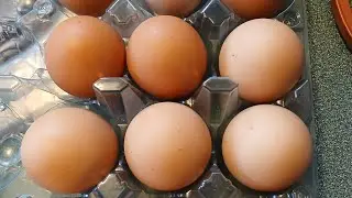 Hard Boiling Farm Fresh Eggs 🍳 Copper Chef