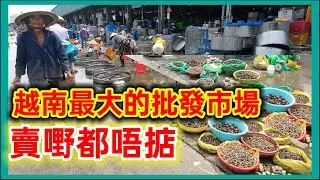 第8郡 坐船過河去平田街市 越南最大的批發市場 越南胡志明市。粵語 SAIGON QUAN8