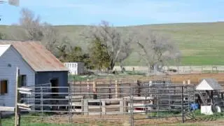 Keith County Nebraska Pasture, Dry Farmland and Rural Residence