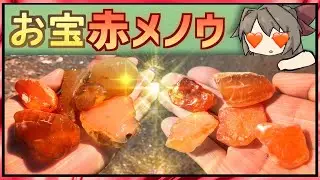 【鉱物探し】北海道で赤瑪瑙を拾いました！【後編】