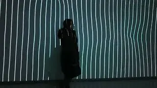 ❤️signalfestival October 2025❤️ videos #trending #signalfestival #2025