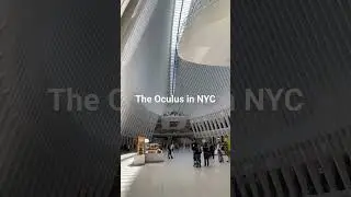 The Oculus in NYC @shorts #oculuscenter #newyorkcity #travel #lowermanhattan #worldtradecenter