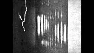 Svarte Greiner - Twin
