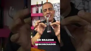 Tipos de descorchadores de vino