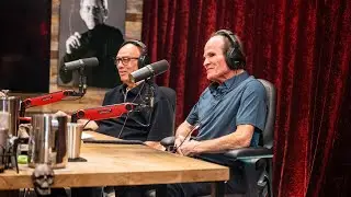 JRE MMA Show #173 with Benny 